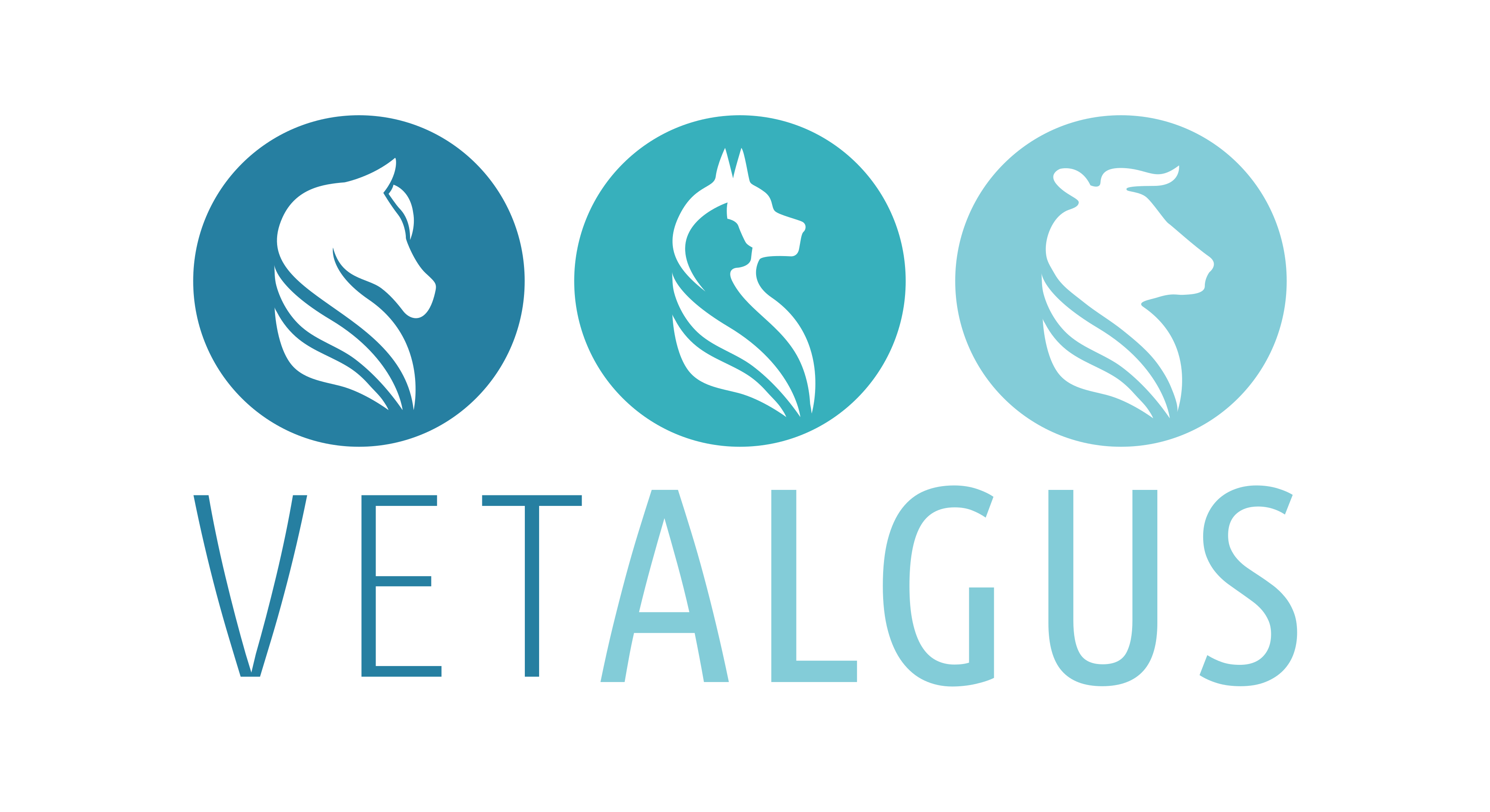 VETALGUS Logo VETALGUS